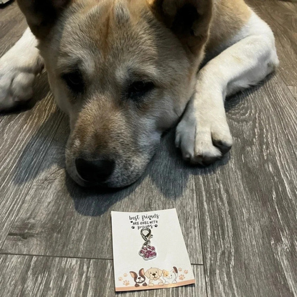 💥 5 for $25 Sale 💥 Cute Pink Dog or Cat Paw Charm - Picture 1 of 5